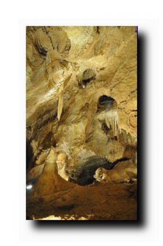 Koněprusy-jeskyně